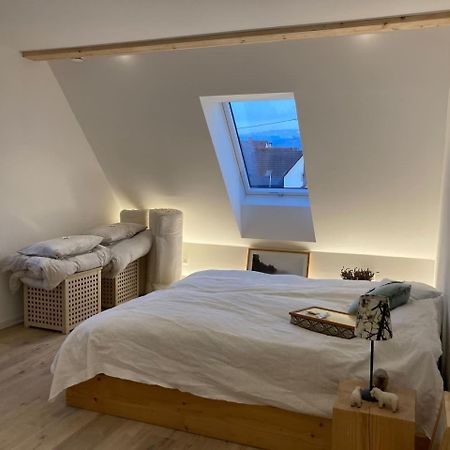 Neues Penthouse-Loft Mit Konuskarte Fuer Gratis Oepnv Apartment Ehrenkirchen ภายนอก รูปภาพ
