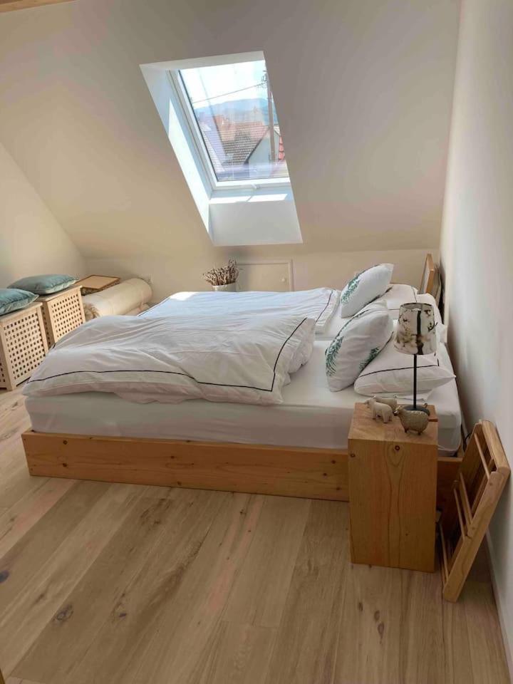 Neues Penthouse-Loft Mit Konuskarte Fuer Gratis Oepnv Apartment Ehrenkirchen ภายนอก รูปภาพ